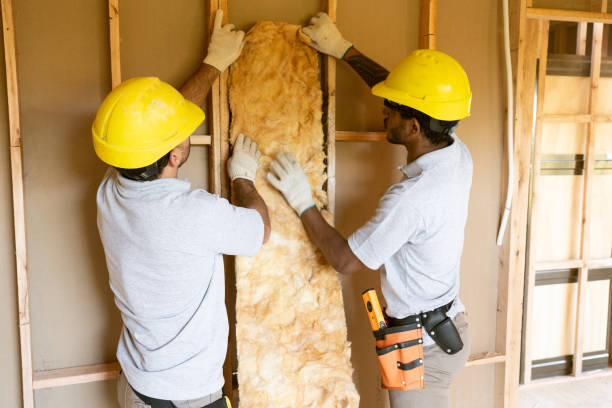 Best Insulation Replacement Services  in Port Ewen, NY